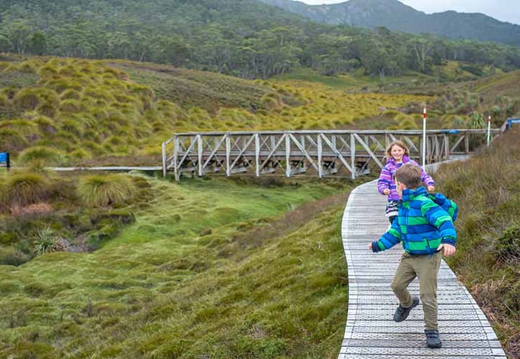 tasmania family road trip