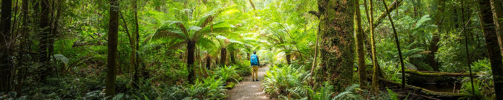 west coast tasmania road trip