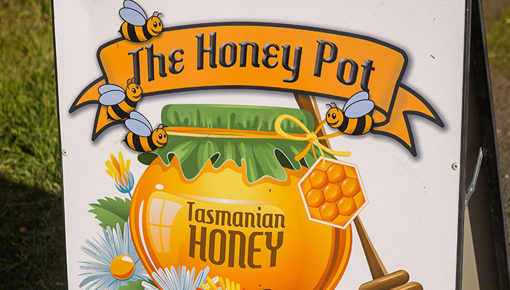 what is honey pot tourism